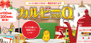 毎月抽選・定期抽選の懸賞キャンペーンまとめ ~2018年10月現在~