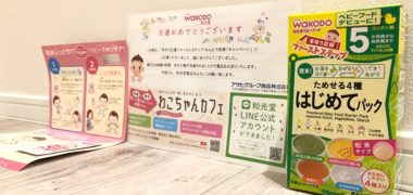 和光堂のTwitter懸賞で「ベビーフード ためせる4種はじめてパック」が当選