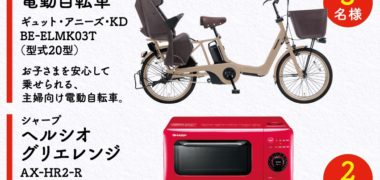 ニチレイの「クイズに答えて応募!|スタジオアリスでミニハンサムに変身しよう!キャンペーン