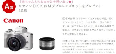 pigeonの「第3弾 シングルタイヤキャンペーン