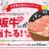 松阪牛カタログギフトやAmazonギフト券が当たるキャンペーン☆