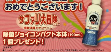 ウエルシア& P&Gのハガキ懸賞で「除菌ジョイコンパクト」が当選