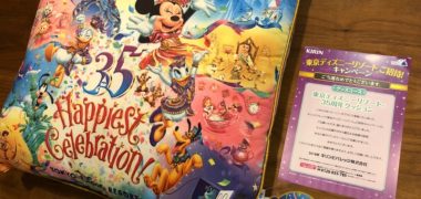 ローソンのキャンペーンで「東京ディズニーリゾート35周年クッション」が当選