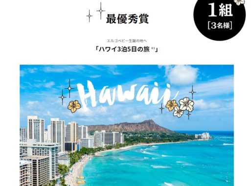 ハワイ3泊5日の旅 / スパリゾートハワイアンズ入場チケット / ハワイおみやげセット / 特製ショッピングバッグ