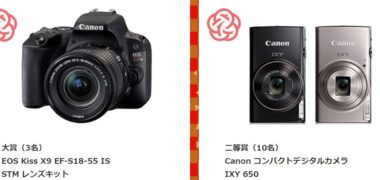 株式会社プラザクリエイトのdigipri(デジプリ)「平成最後の年賀状にしたい写真コンテスト」キャンペーン