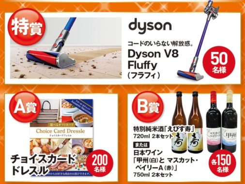 Dyson V8 Fluffy / チョイスカード ドレスル［カタログギフト］ / 特別純米酒「えびす寿」2本セット または日本ワイン 2本セット