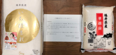PLANT&エステーのハガキ懸賞で「お米 3,000円相当」が当選