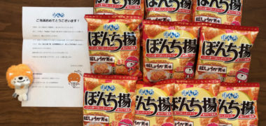 ぼんちのTwitter懸賞で「ぼんち揚×2隊 隊員セット」が当選