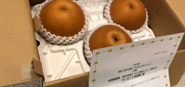 アキモのハガキ懸賞で「栃木名産にっこり梨セット」が当選