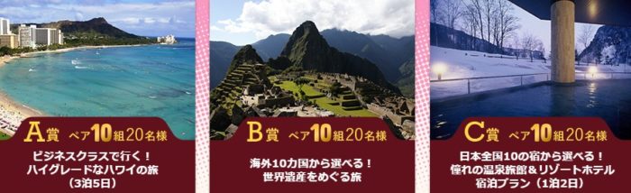 ビジネスクラスで行くハワイの旅 3泊5日」 / 海外10か国から選べる！世界遺産をめぐる旅 / 憧れの温泉旅館＆リゾートホテル宿泊