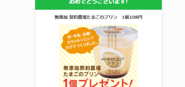 シャトレーゼのTwitter懸賞で「無添加契約農場たまごのプリン無料クーポン」が当選