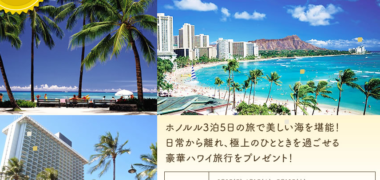 アイリスオーヤマ公式通販サイトの「アイリスオーヤマ60周年記念キャンペーン