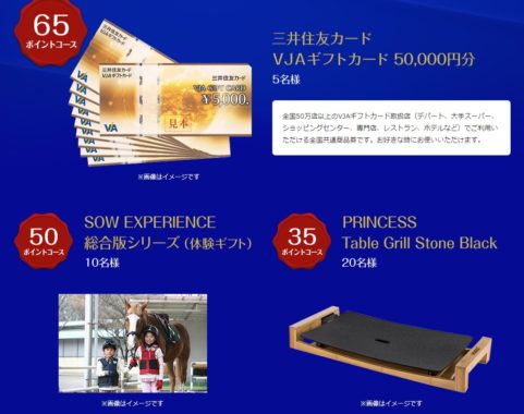 VJAギフトカード 50,000円分 /  SOW EXPERIENCE 総合版シリーズ /  PRINCESS Table Grill Stone