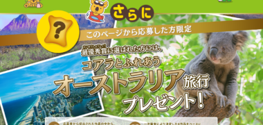 ロッテの「新しいコアラの仲間を大募集!」キャンペーン