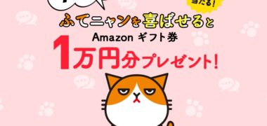 Y!mobileの「ダジャレでふてニャンを喜ばせよう!」キャンペーン