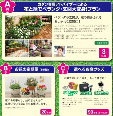 カダン専属アドバイザーによる花と緑でベランダ・玄関大変身！プラン / お花の定期便 1年間 / 選べるお庭グッズ