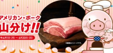 毎日応募できるネット懸賞情報まとめ ~2019年6月現在~