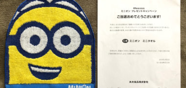 丸大のハガキ懸賞で「ミニオン ミニタオル」が当選