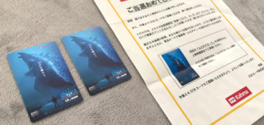DCMカーマのキャンペーンで「ゴジラ キング・オブ・モンスターズ鑑賞券」が当選