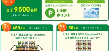 カゴメの「選べるおいしさ 小腹、へったら。Smoothieキャンペーン