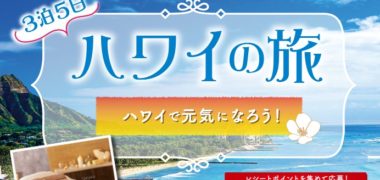 Eisaiの「3泊5日ハワイの旅プレゼントキャンペーン
