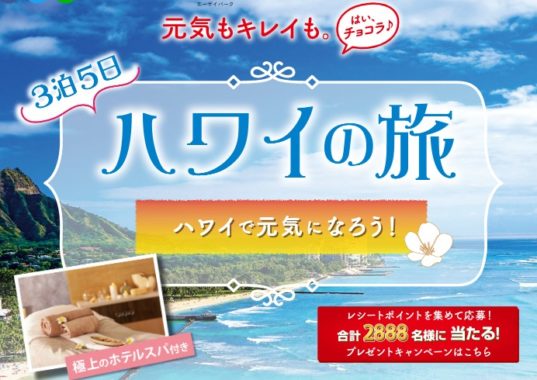 3泊5日 ハワイの旅