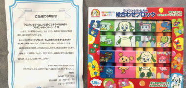 スギ薬局×エリエールのハガキ懸賞で「絵合わせブロック」が当選