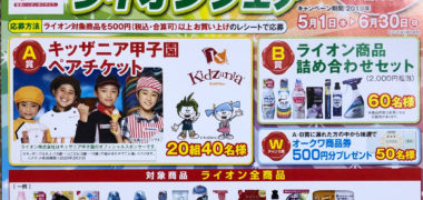 オークワ・ライオン「ライオンフェア