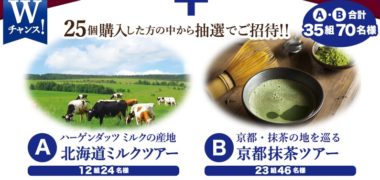 ハーゲンダッツ ジャパンの「35周年記念感謝キャンペーン