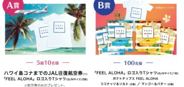 湖池屋のハワイ州観光局 公認商品 ポテトチップス FEEL ALOHA 発売記念!「ハワイキャンペーン