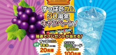 明治チューインガム株式会社の「すっぱいガム30周年記念キャンペーン