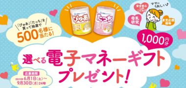 雪印メグミルク株式会社の「雪印メグミルク ぴゅあ・雪印メグミルク たっち を買って抽選で500名様に当たる!選べる電子マネーギフトプレゼント」キャンペーン