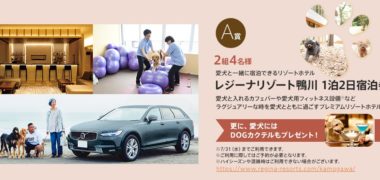 ボルボ・カー・ジャパンの「ペットと一緒のライフスタイルを彩るペットギフトをプレゼント