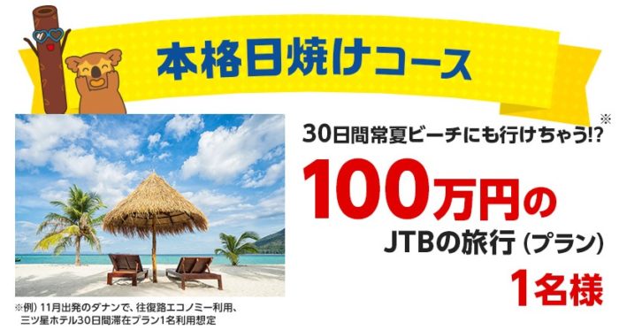  100万円のJTB旅行プラン / スパリゾートハワイアンズ ペア入場券