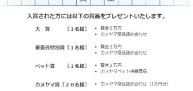 カメヤマ株式会社の「あの人との、ひとり言 コンクール」キャンペーン