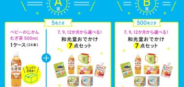 和光堂の「ベビーといっしょにおでかけしよう!Twitterキャンペーン