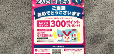Vドラッグ×P&Gのキャンペーンで「300ポイント」当選