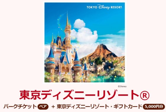 東京ディズニーリゾート パークチケット / アウトドアグッズLOGOSセット / ヤマザキグループお菓子詰合せ