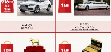 日本中央競馬会の「JRAアニバーサリー福袋プレゼントキャンペーン
