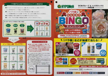 DCMグループ＆ハイポネックス共同企画「バラ苗がもらえる！BINGOキャンペーン