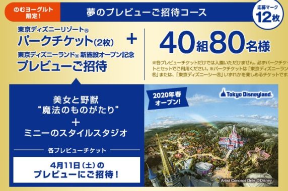 東京ディズニーリゾート パークチケット＋プレビューご招待 / ぬいぐるみ / レジャーシート など