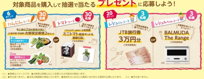 お野菜定期便2回セット / ミニトマト水耕栽培キット / JTB旅行券3万円分 / BALMUDA The Range