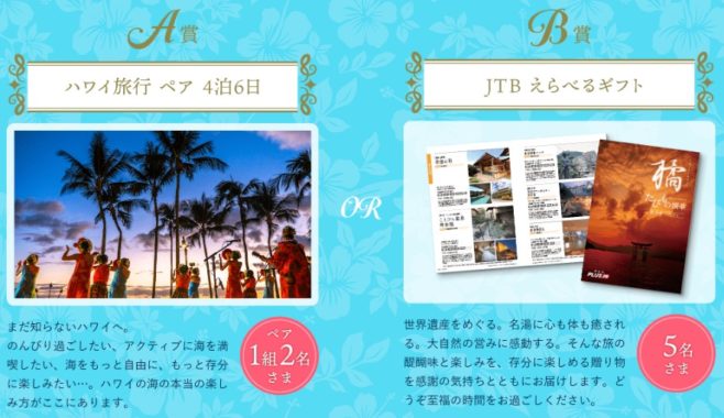 ハワイ旅行 ペア 4泊6日 / JTBえらべるギフト / Amazonギフト券 500円分