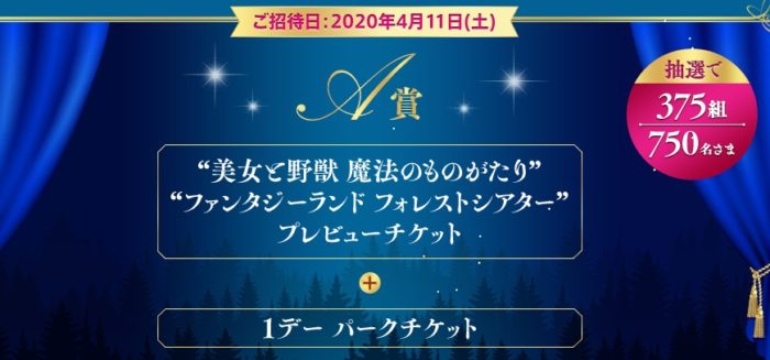 東京ディズニーランド 美女と野獣 魔法のものがたり＋ファンタジーランド・フォレストシアタープレビューペアチケット＋1デーパークチケット など