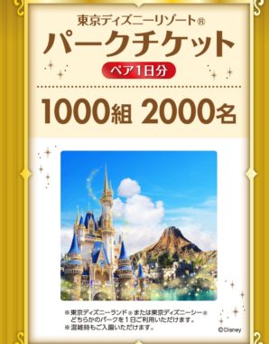 東京ディズニーリゾート パークチケット ペア