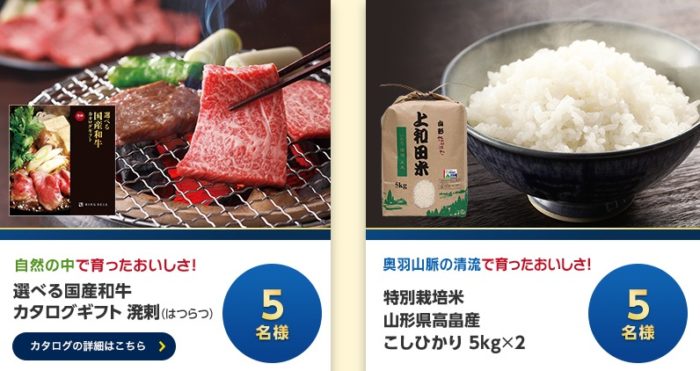 国産和牛カタログギフト / 山形県高畠産こしひかり