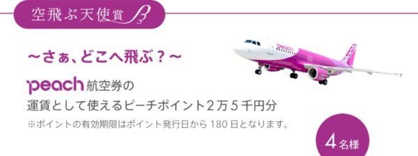 ピーチポイント2万5千円分も当たる豪華キャンペーン 懸賞で生活する懸賞主婦のブログ