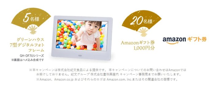 デジタルフォトフレーム / Amazonギフト券