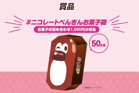 ニコレートぺんぎんお菓子詰め合わせ