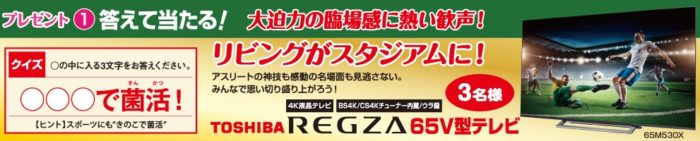 東芝 REGZA 65V型テレビ